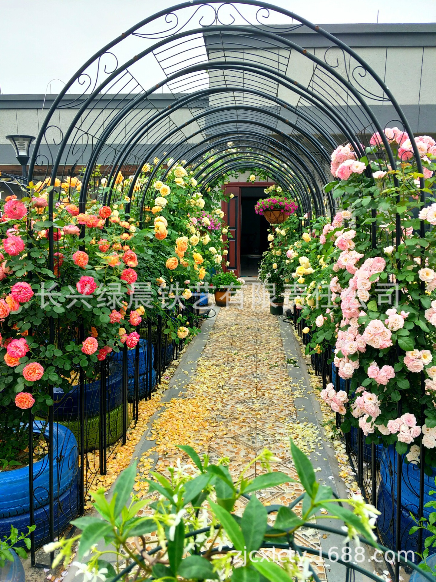 庭院铁艺蔷薇爬藤架 户外花园月季牵引支架花爬架 攀藤植物架子