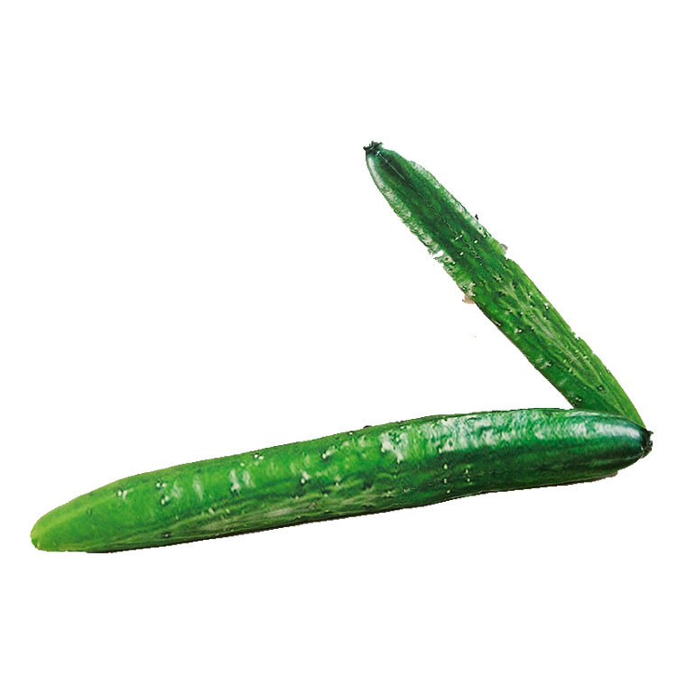 新品搞怪蔬菜系列 长条形黄瓜抱枕 数码印花卡通长形家居用品