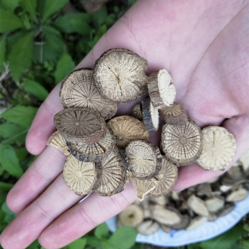 青藤毛青藤青风藤量大从优青风藤批发冷背青风藤冷背中药材青风藤