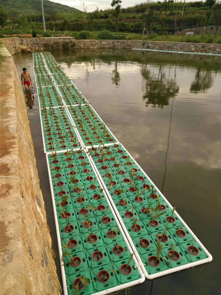 水生浮床 人工浮岛 水上种植浮床生物浮床承包施工安装