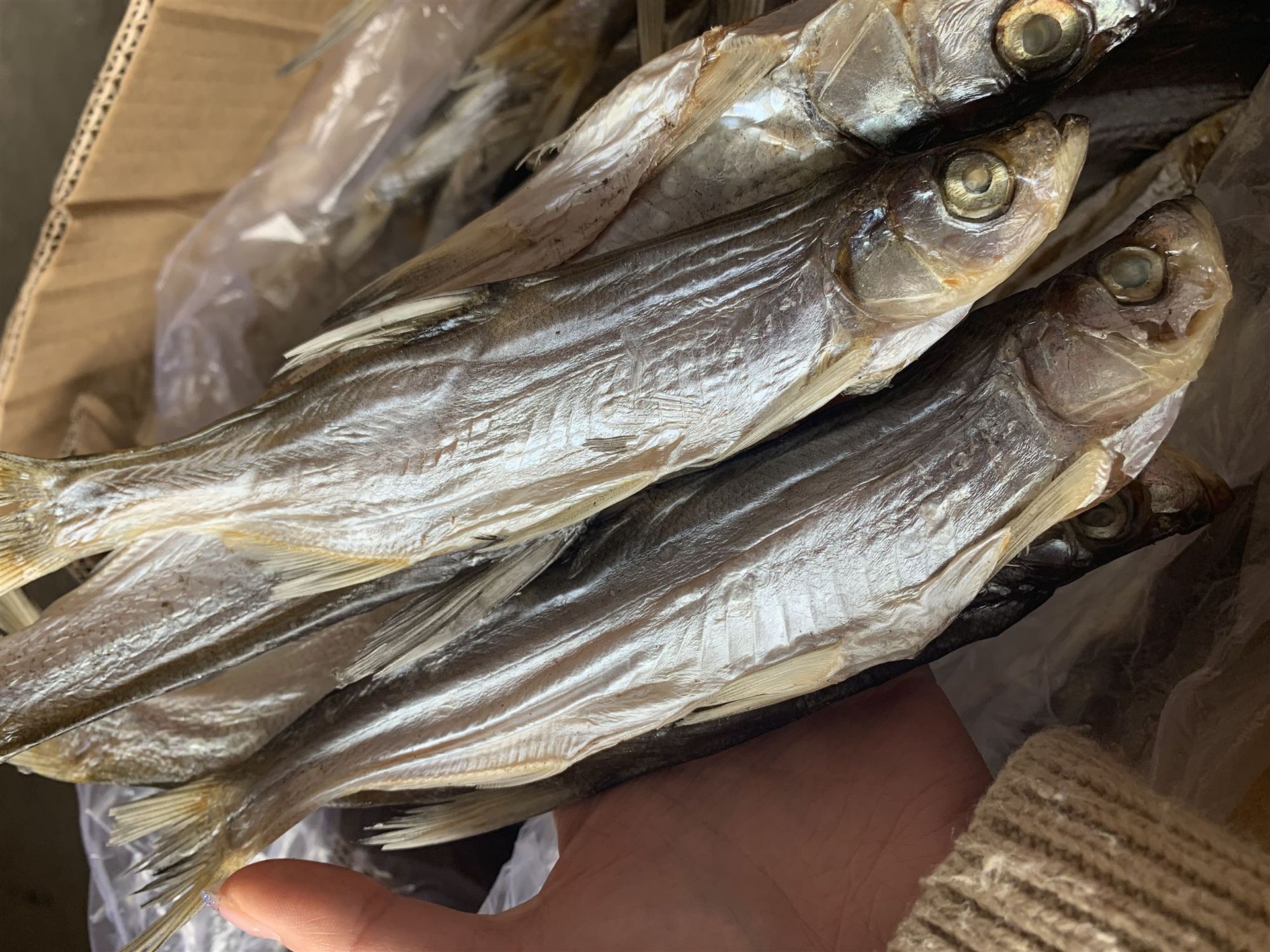 20年新货淡水翘嘴鱼干 此款为大号翘嘴, 个头