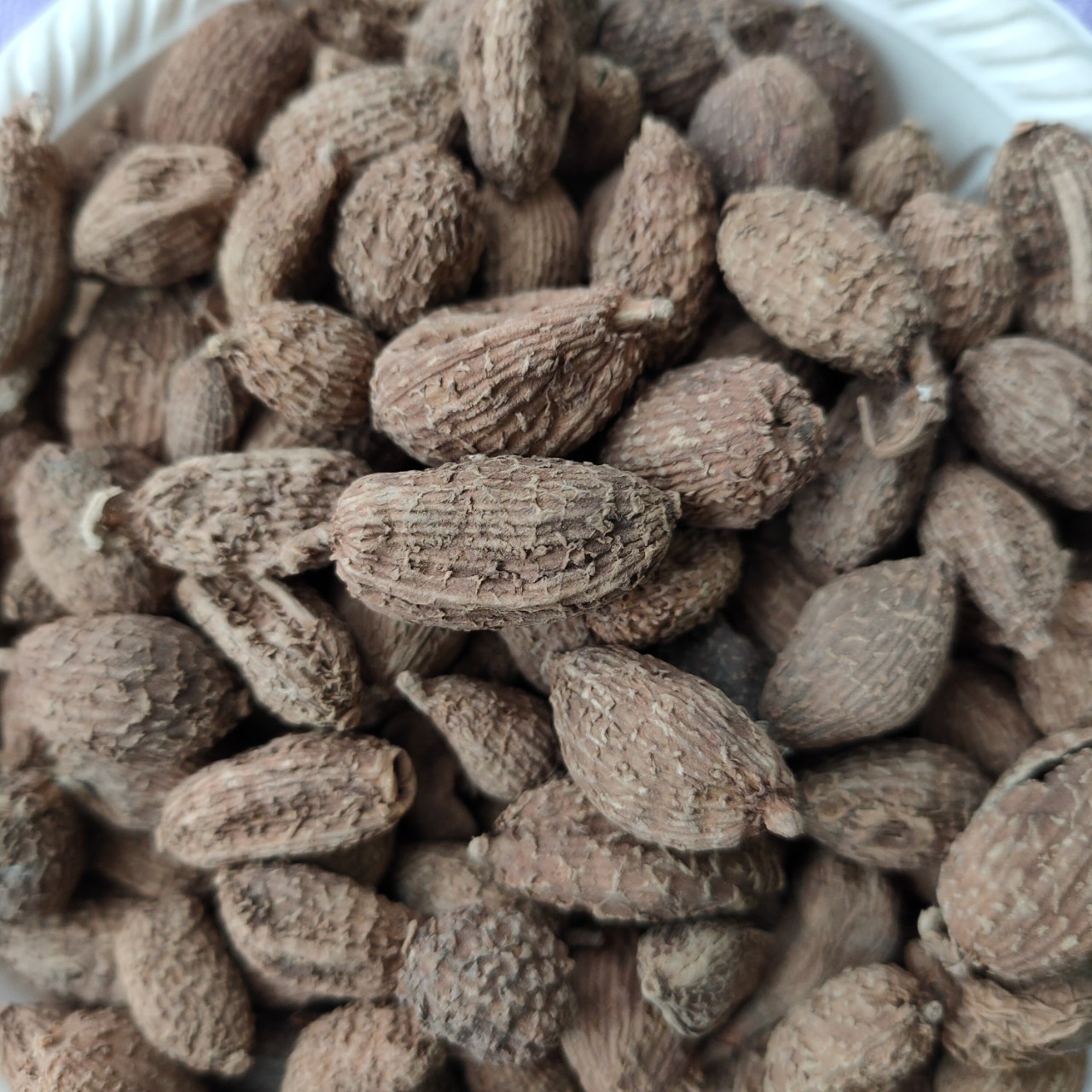 中药材批发砂仁阳春砂仁壳砂仁砂仁米规格齐全承接订单量大从优