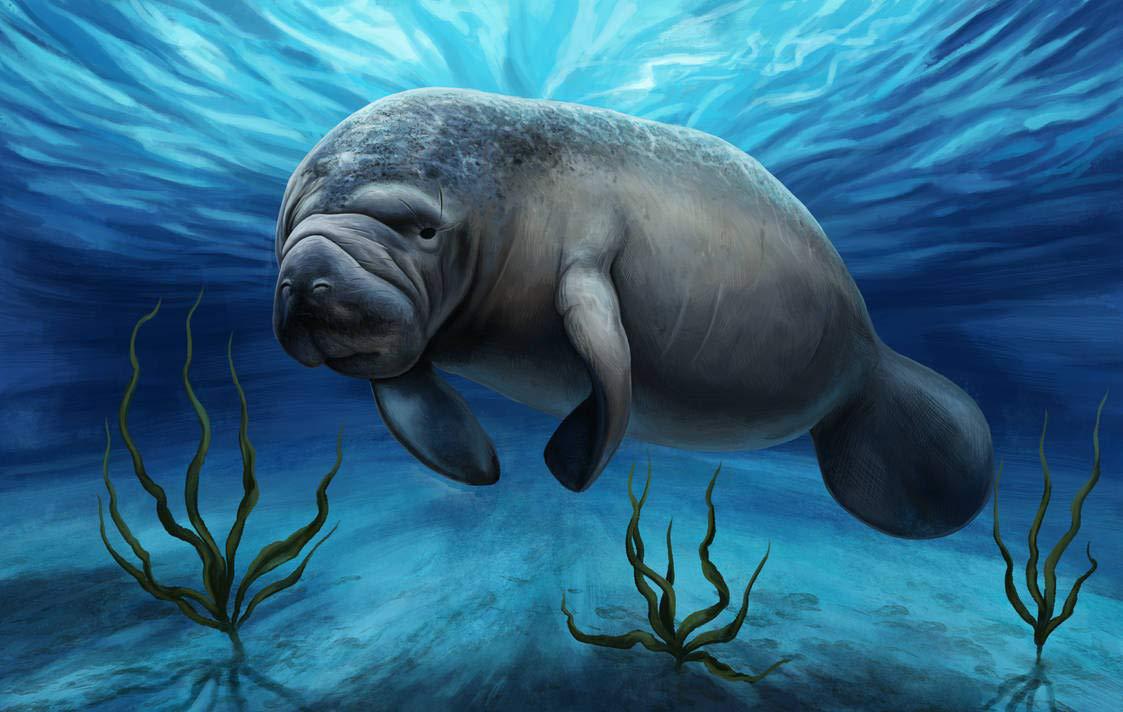 厂家直销2021年新款狼狗钻石画满钻贴钻客厅卧室装饰