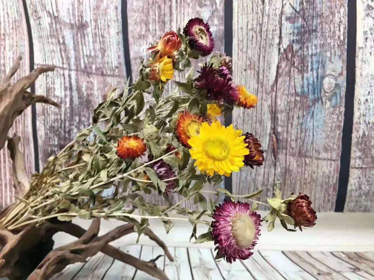 干花菠萝菊真花自然风花束橙菠萝手工花家居装饰diy菠萝花批发