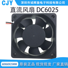 厂家供应 6025双滚珠散热风扇 DC5V 12V 24V直流风扇 静音 长寿命