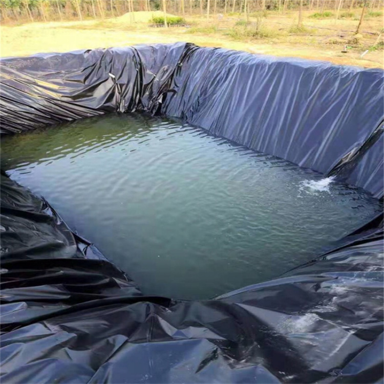 鱼塘虾池涵洞路基隔水hdpe土工膜填埋场化粪池防渗膜复合两布一膜