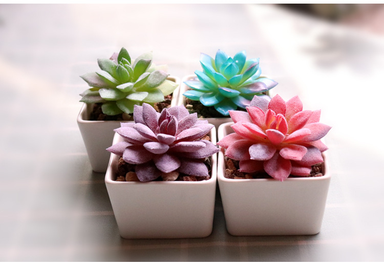 厂家直销仿真多肉植物天双莲假多肉肉室内室外花盆绿植背景墙装饰