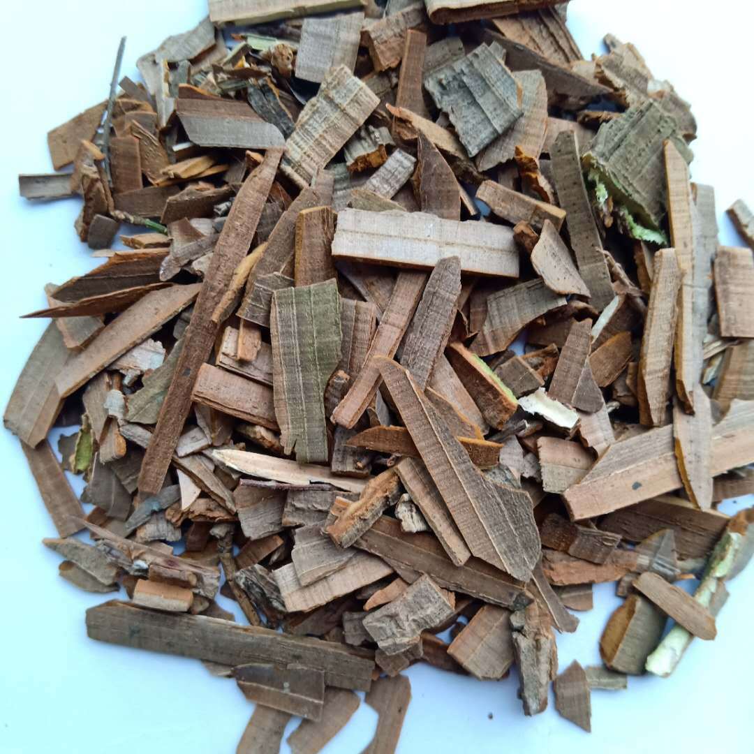 鬼箭羽 野生鬼箭羽 甘肃省 陇南市 优质鬼箭羽 产地直销