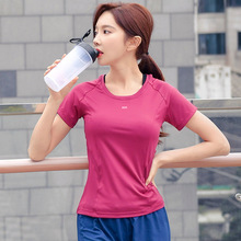 纯色网布拼接速干T恤女运动户外健身宽松快干吸汗跑步短袖