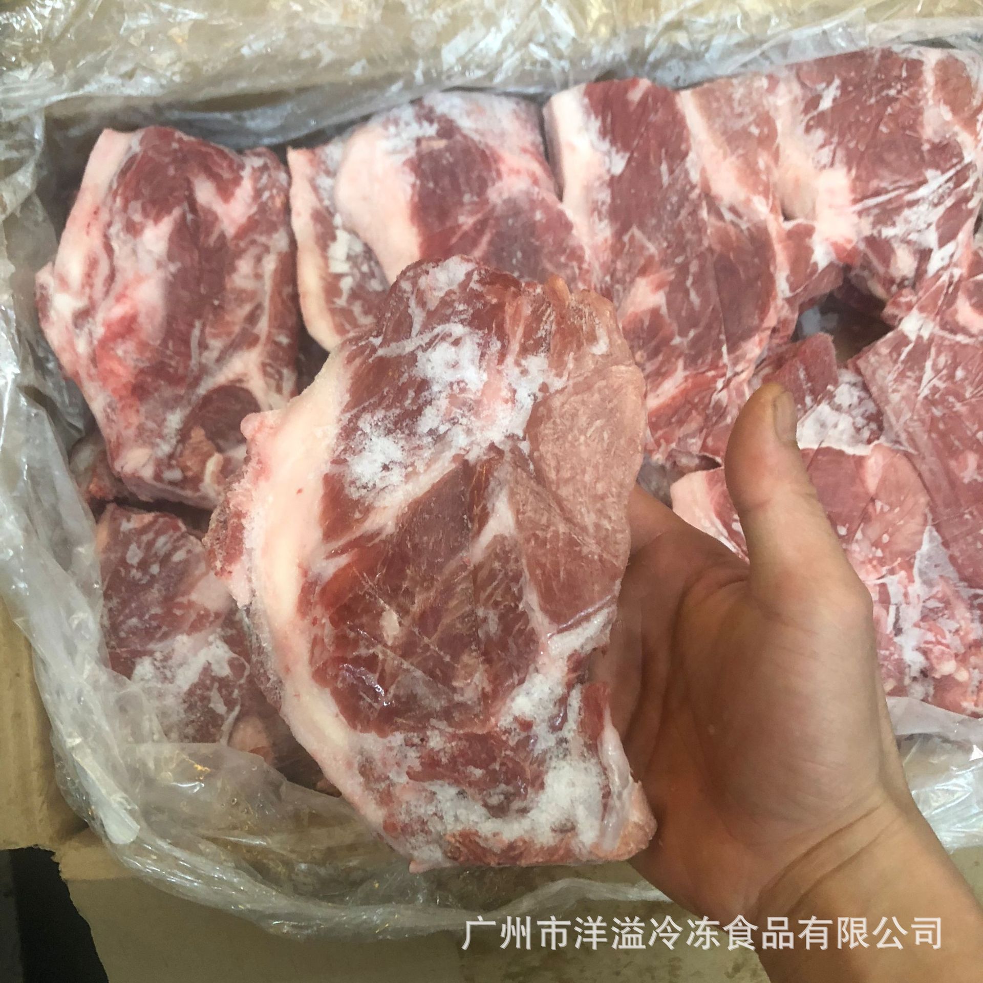 猪前排 冷冻 猪脆骨 飞机骨 前排翅 猪小排中西餐猪排炭烧猪