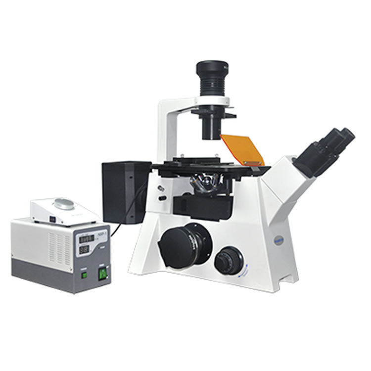 mf53研究级倒置荧光显微镜bguv三色汞灯荧光led明场荧光显微镜
