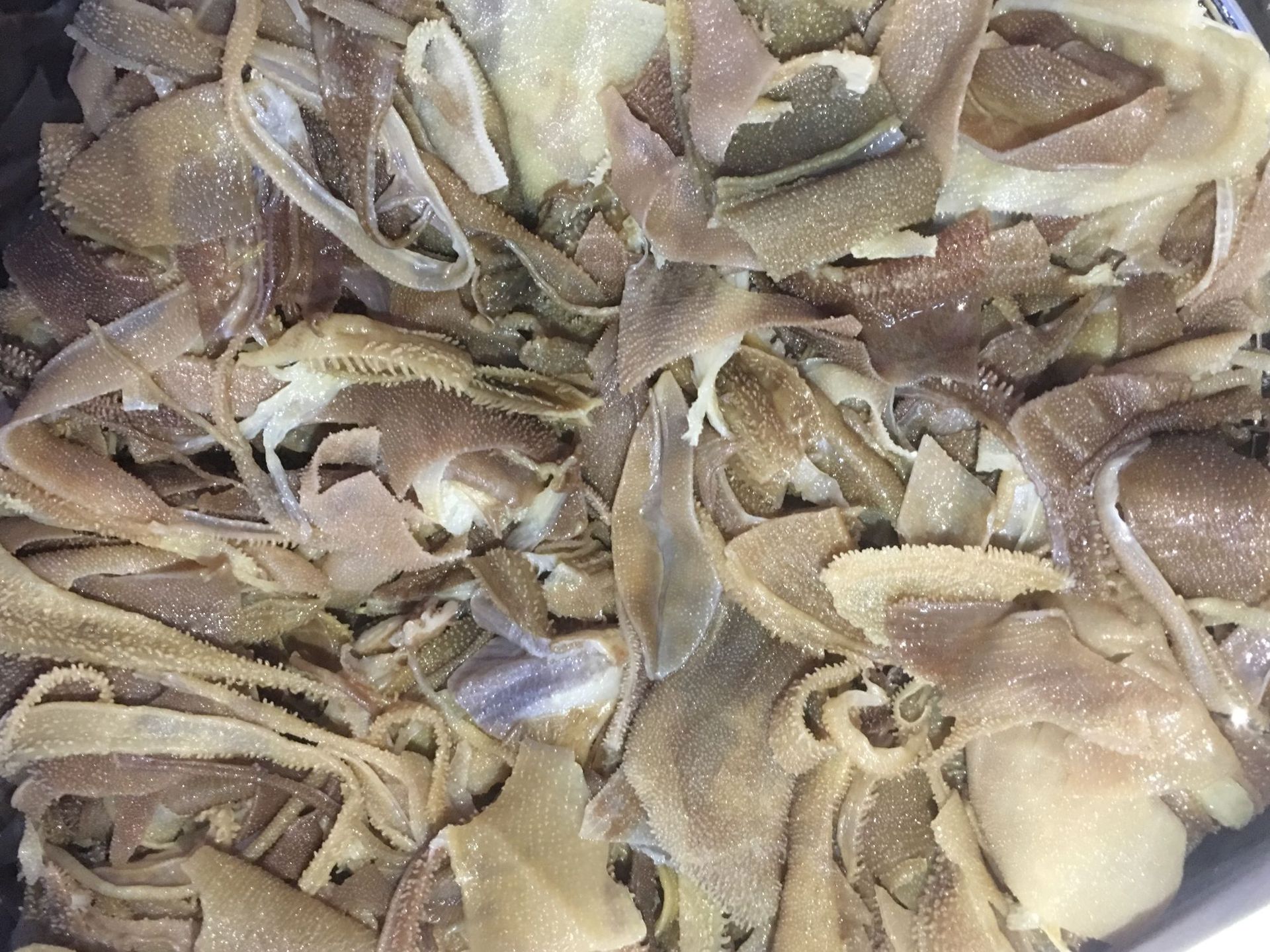 冷冻水发毛肚碎边角百叶火锅毛肚批发