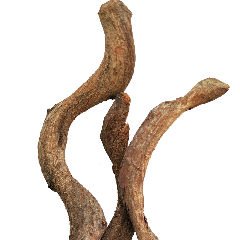 过江龙山藤植物真山藤条室内外装饰纯天然树藤藤蔓仿真大树生产