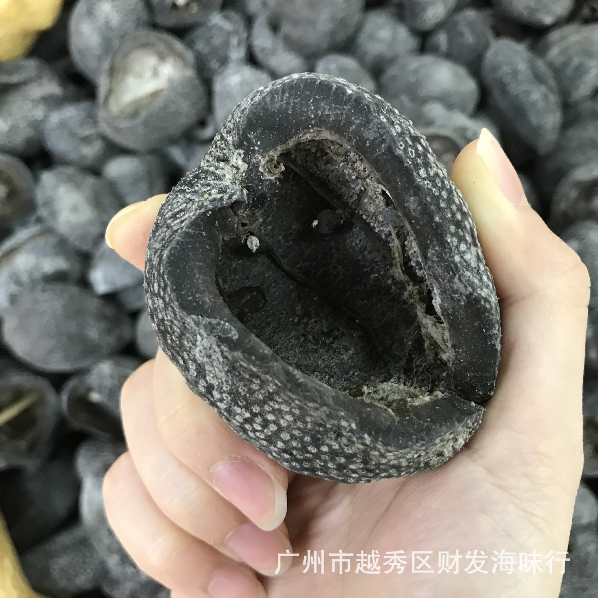 海参 产地直销越南球参 越南淡干球参 乌圆球参500克