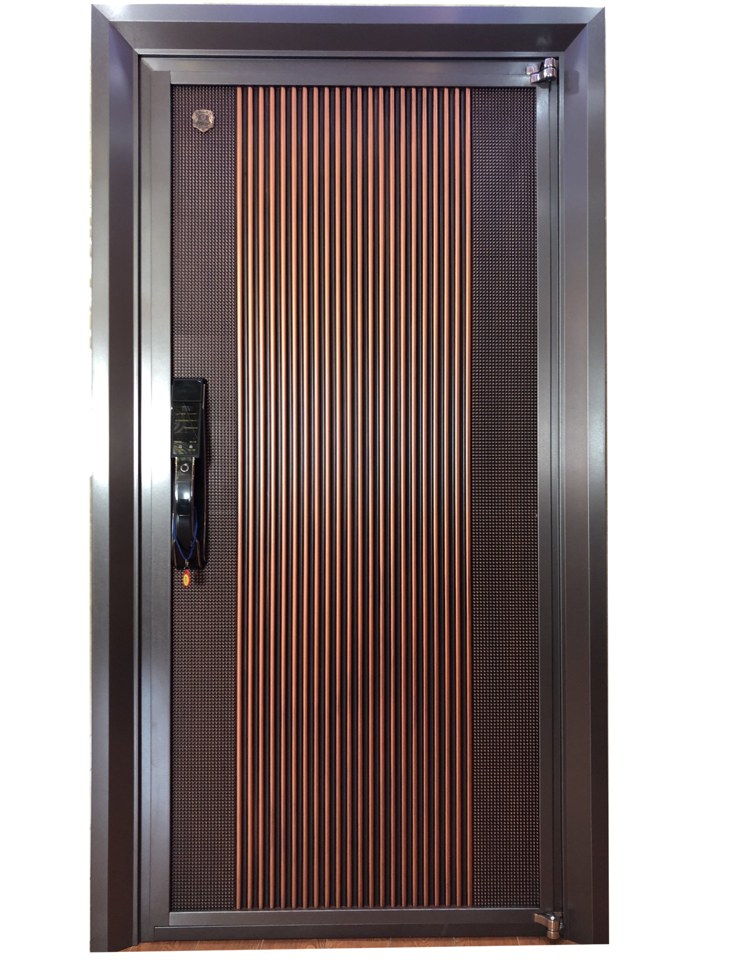 厂家批发 304#不锈钢入户门 家居防盗门 豪华彩色门 防爆门