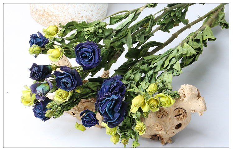 桔梗自然干花真花束花店插花 家居装饰干花 客厅diy插花拍摄道具