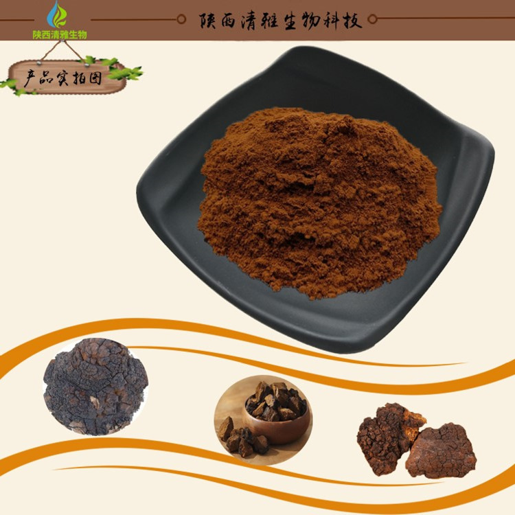 白桦茸多糖10白桦茸提取物现货供应白桦茸粉05kg起订含运费