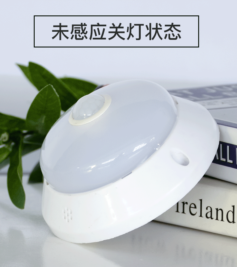 5wled装饰灯 led防盗灯 人体声光雷达一体化感应灯 质量保障