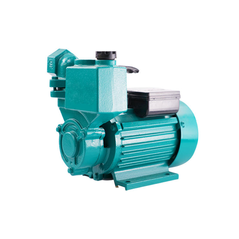 加工定制家用增压泵自来水管道泵井水自吸泵小型220v手动加压泵