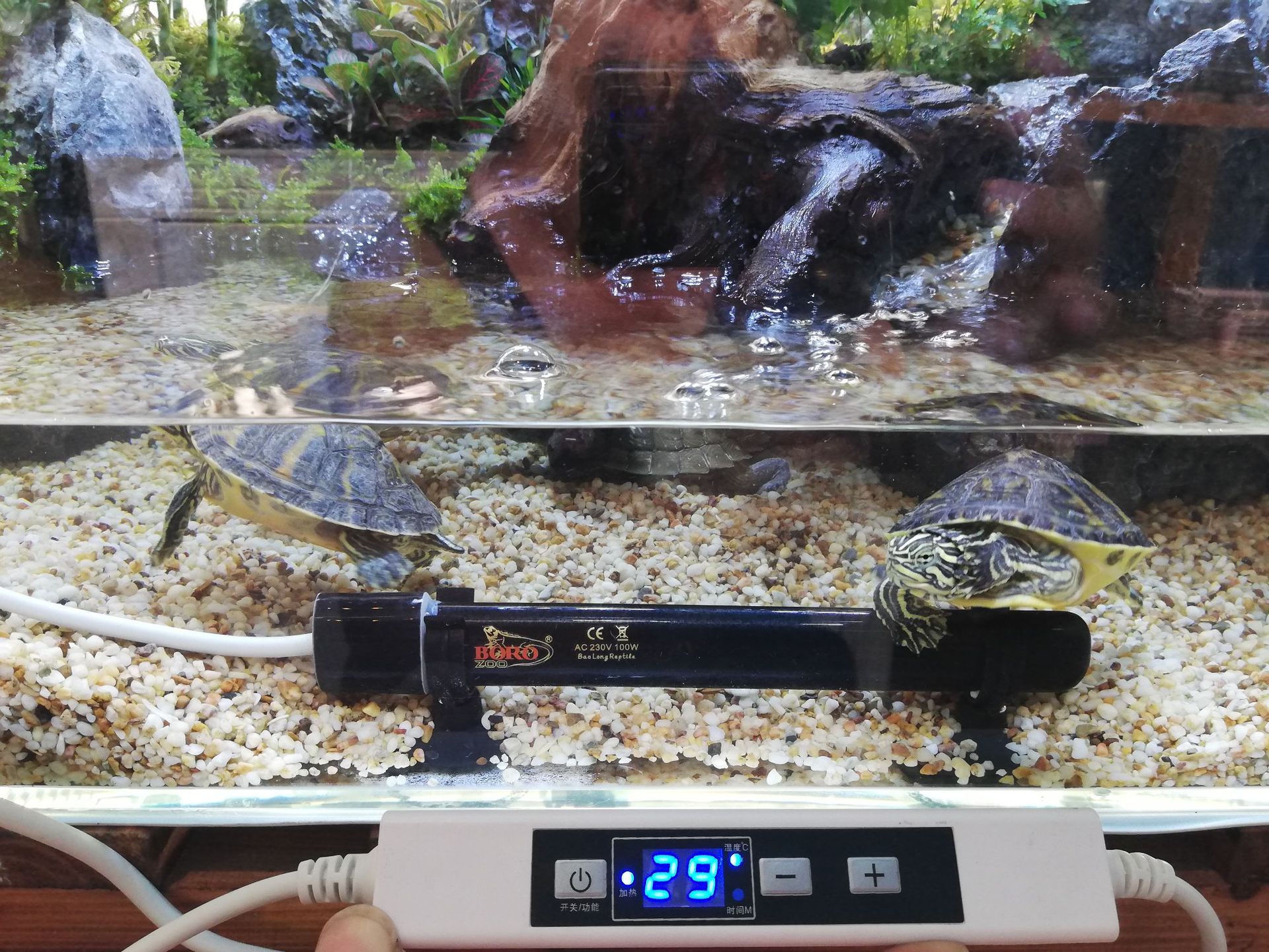 宝龙鱼缸加热棒龟缸保温棒加热器双陶瓷抗撞击长寿命外置调温器