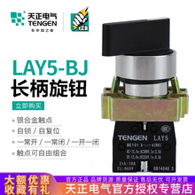 天正LAY5-BJ33加长柄旋钮XB2-BJ33C三档旋转按钮开关自锁21常开25