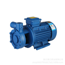 厂家直供W系列单价旋涡泵小体积大流量可悬挂机床锅炉给水增压泵