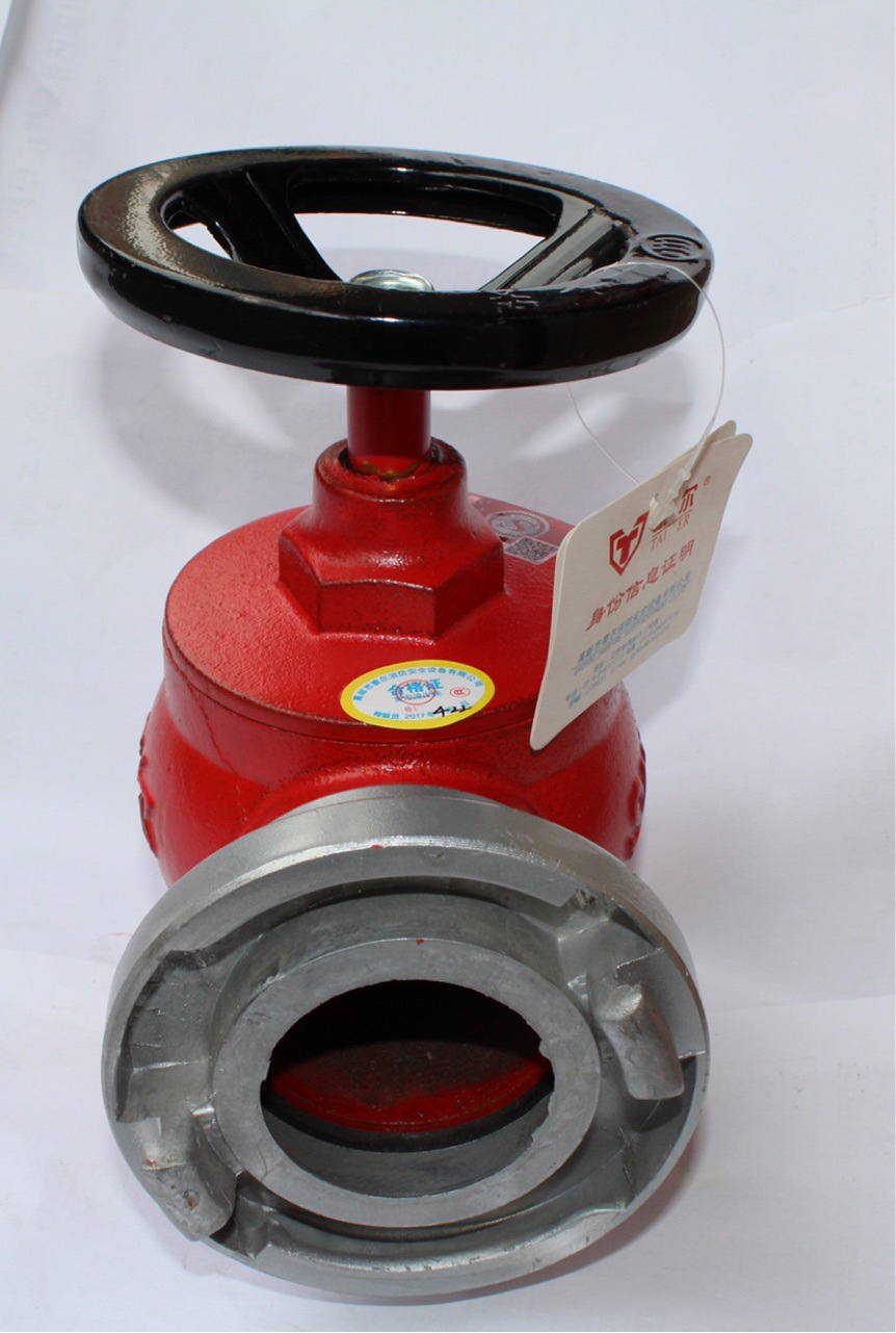 国泰牌泰尔牌 室内消火栓消防栓sn65减压稳压室内栓多品牌多型号