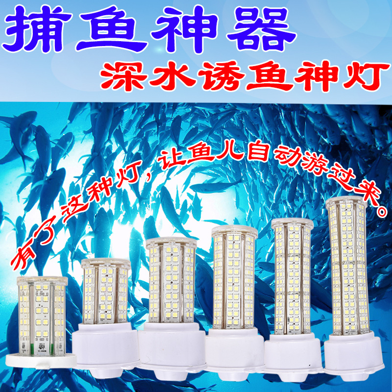 led捕鱼灯集鱼灯led扑鱼灯集鱼灯led水下集鱼灯水底诱鱼灯led诱鱼