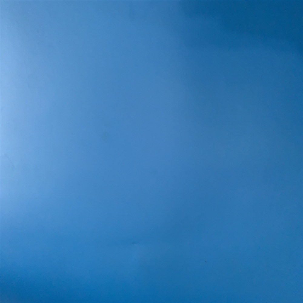 幼儿园地胶舞蹈地垫防滑pvc地胶健身房运动地板塑胶地板弹性地垫