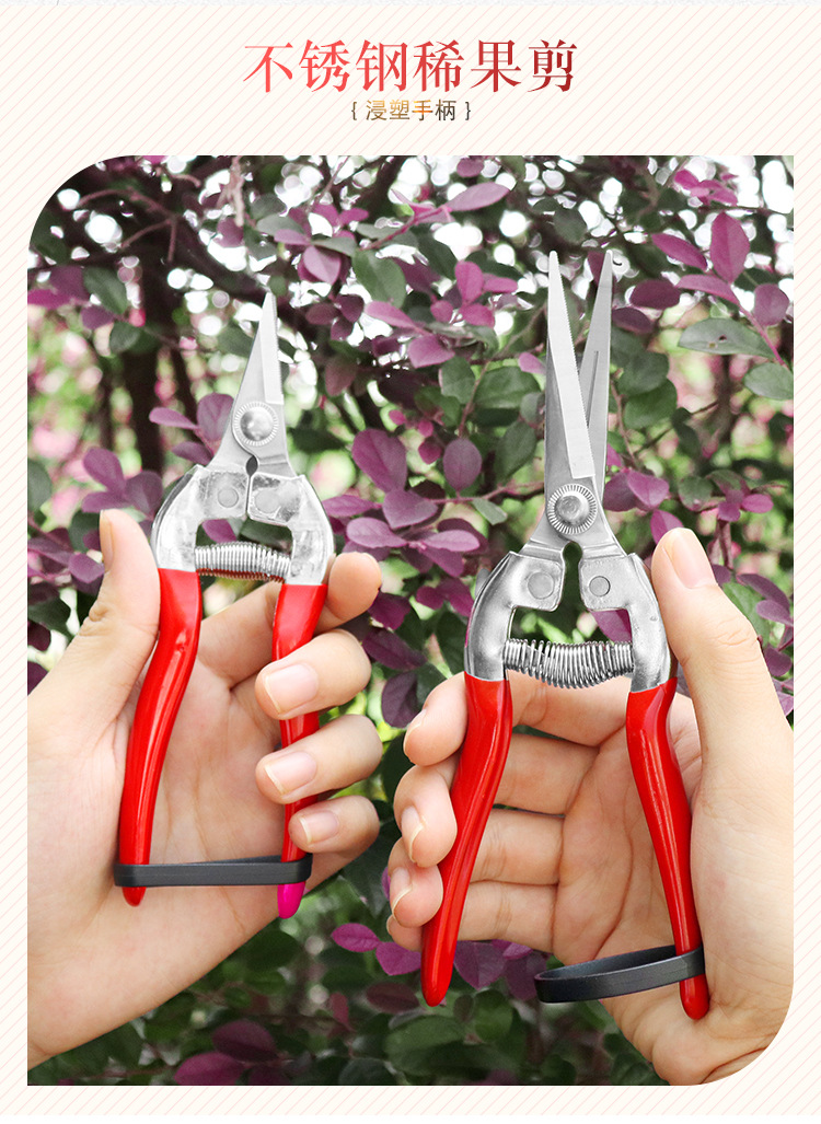 厂家现货摘果剪不锈钢直头稀果剪葡萄瓜果蔬菜剪园艺理枝去芽剪刀