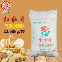 红牡丹 高筋小麦粉22.68kg/袋 拉面饺子馒头高弹性烘焙面包用面粉