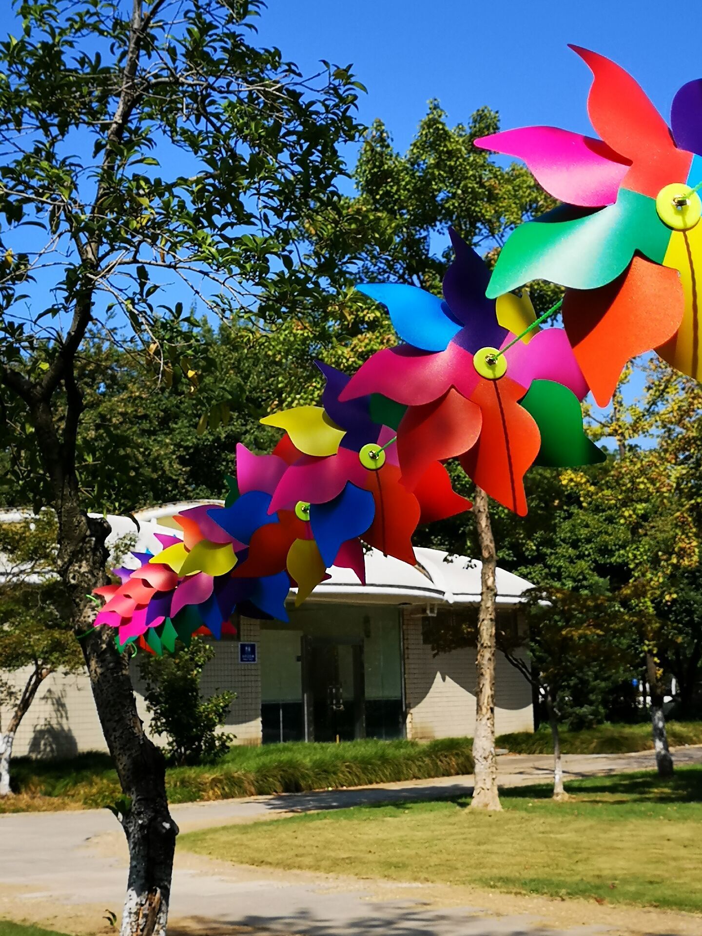 摄影道具八角风串塑料材质 创意风车串式幼儿园装饰工艺风车定制