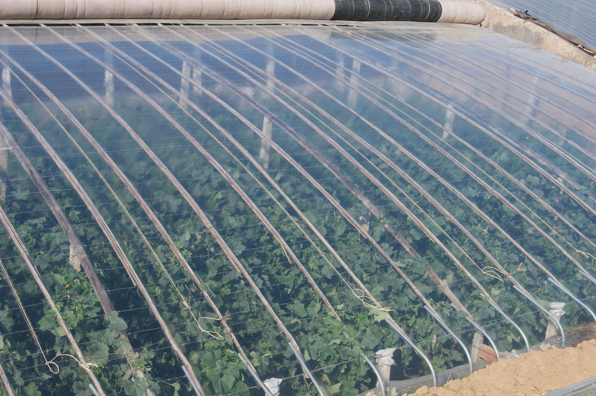 po膜 金蚂蚁po膜 高透明薄膜  农用薄膜 防尘膜 塑料纸