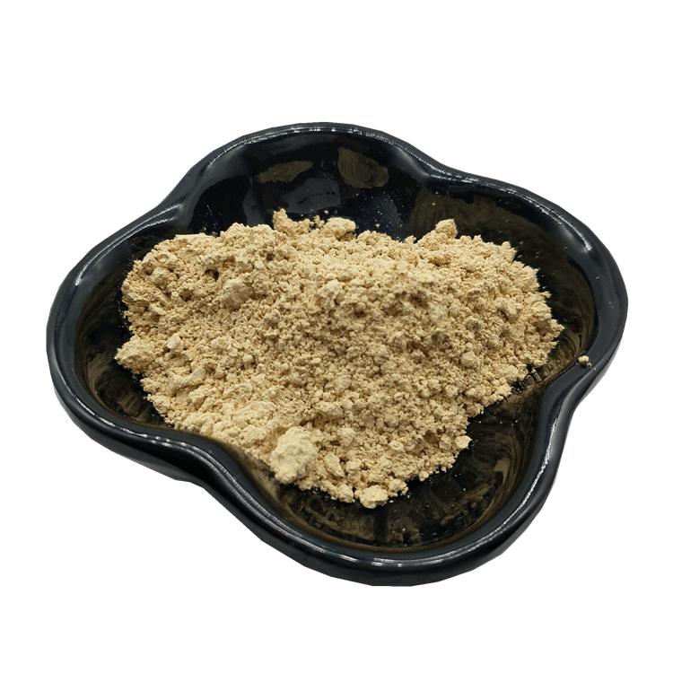 岩藻多糖98% 褐藻多糖硫酸酯 l-岩藻糖 褐藻多糖 褐藻糖胶 100克