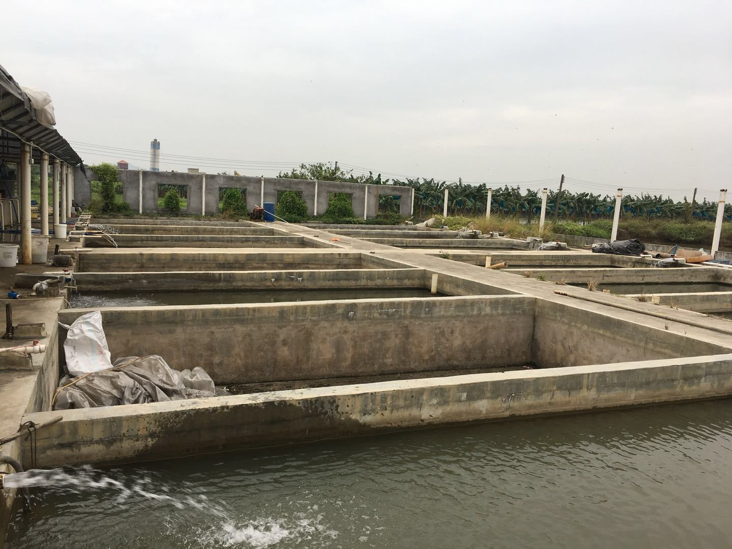 鱼苗孵化池.jpg