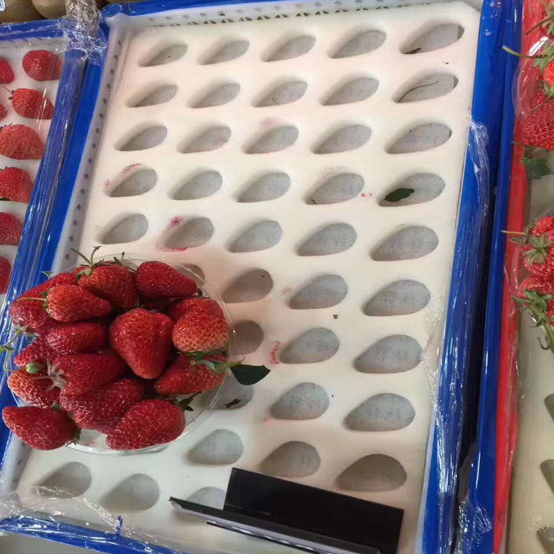 草莓海绵托草莓包装内衬海绵水果海绵快递专用海绵垫片海棉托盘