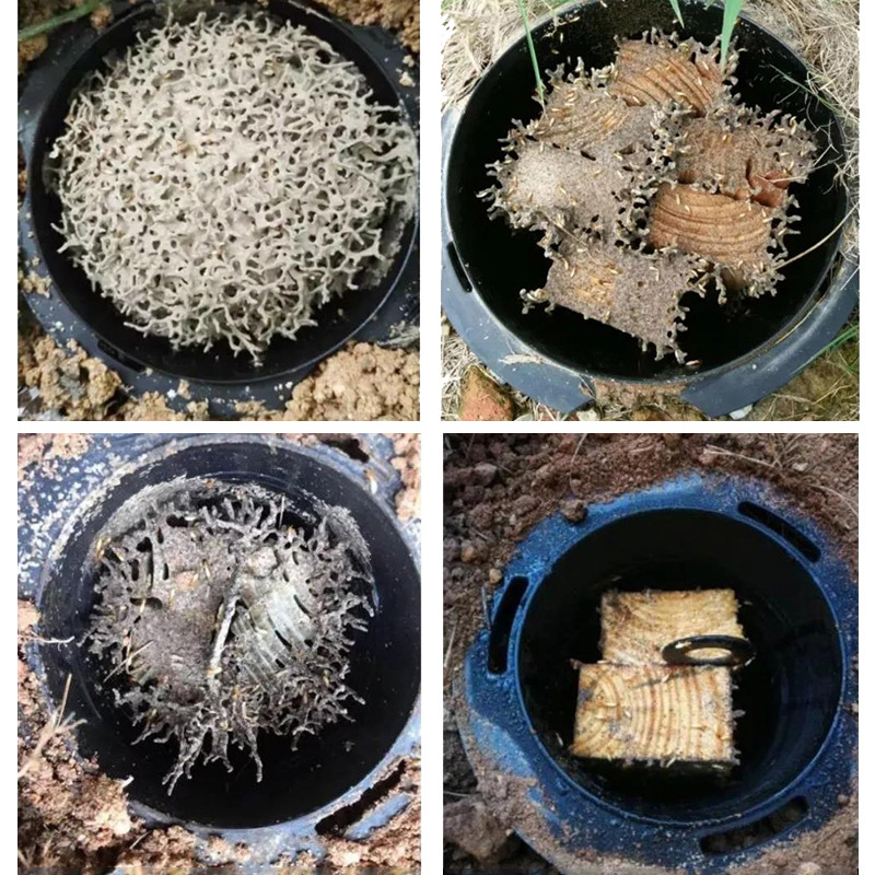 智猫室外白蚁诱杀箱大号诱杀桩园林别墅诱杀器内含引诱药粉剂