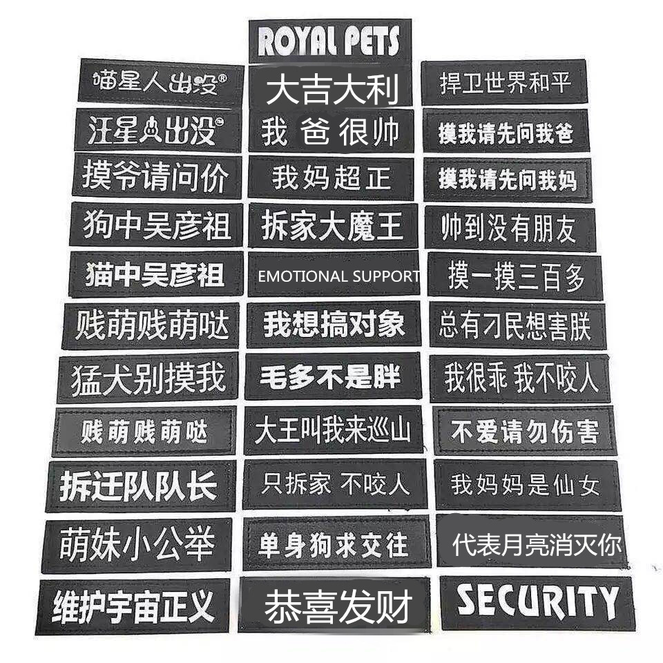 狗狗k胸背带字帖猫咪牵引绳个性字帖定做