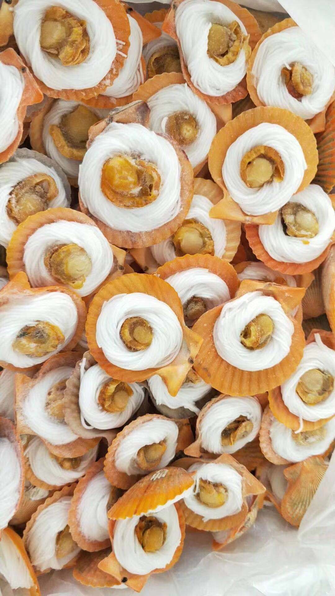 00 品种 扇贝 是否进口 否 产地/厂家 湛江 用途 食用 体重 5700(g)