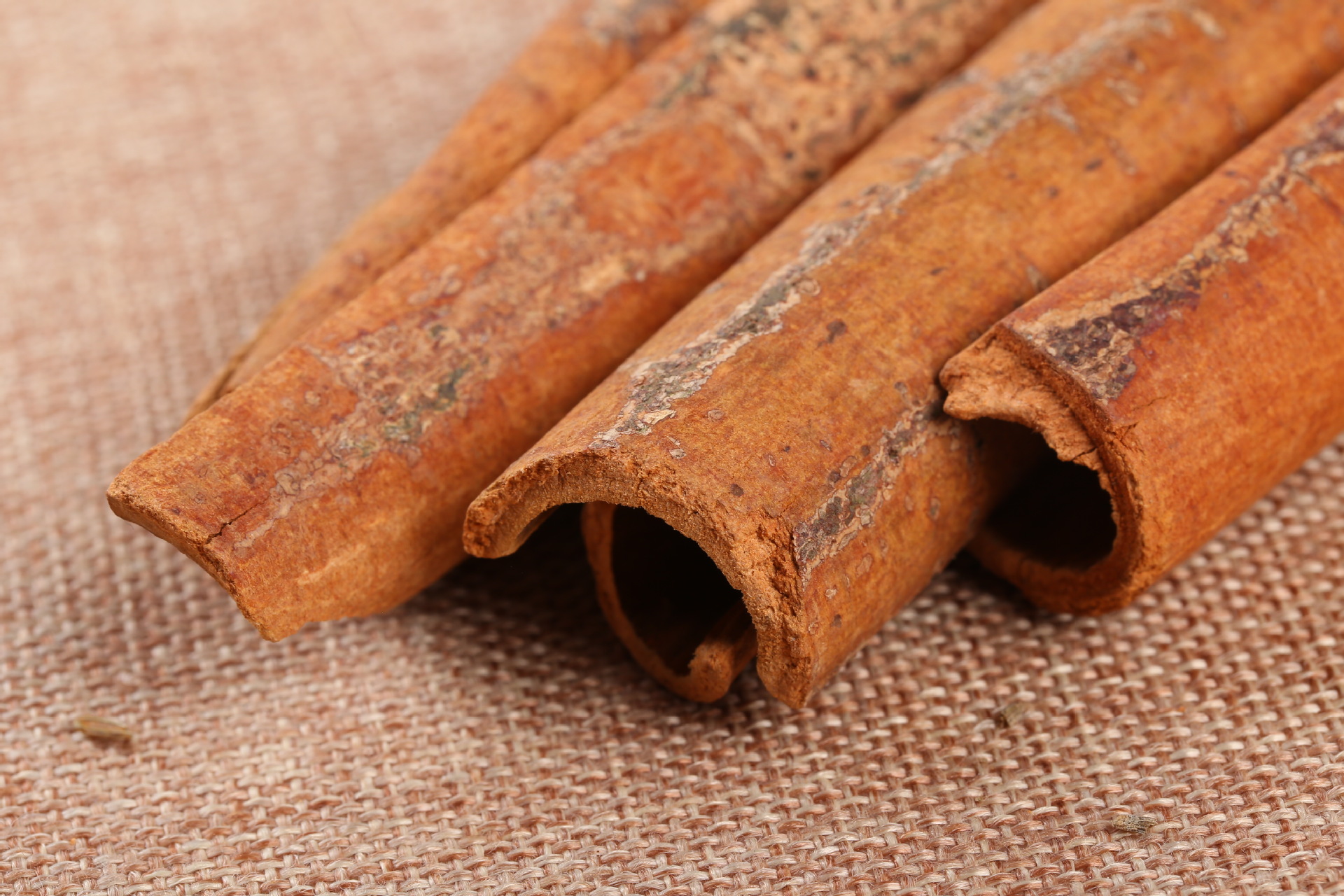 肉桂 选装 500g 产地广西 录建药业批发零售常用中药材