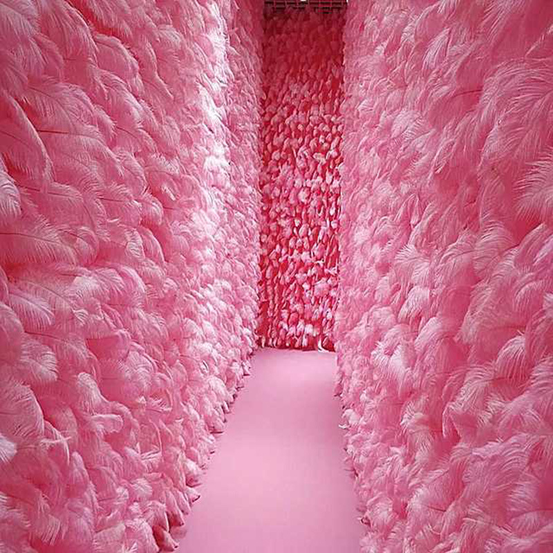 粉色羽毛墙效果更大气 鸵鸟羽毛装饰婚庆拍摄少女心35-40厘米