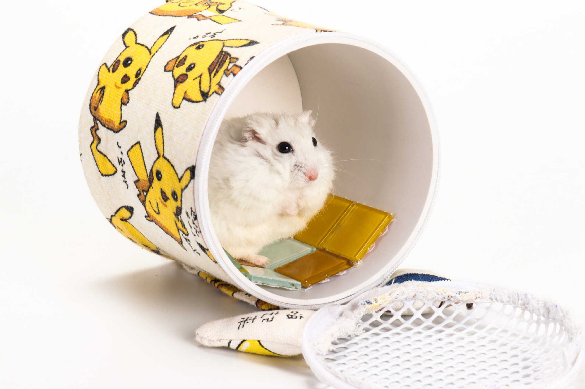 蜜袋鼯小宠物外出背包宠物旅行迷你背包仓鼠用品散热包仓鼠外带包