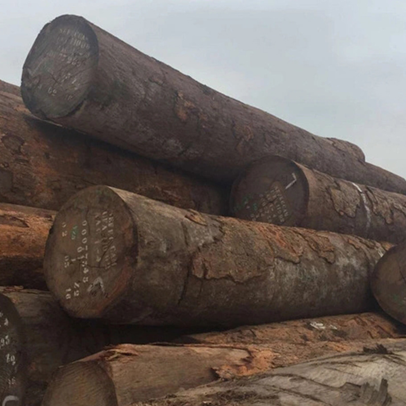 红铁木原木 整木圆形砧板可加工定制非洲红铁木 菜板鱼排用材红铁