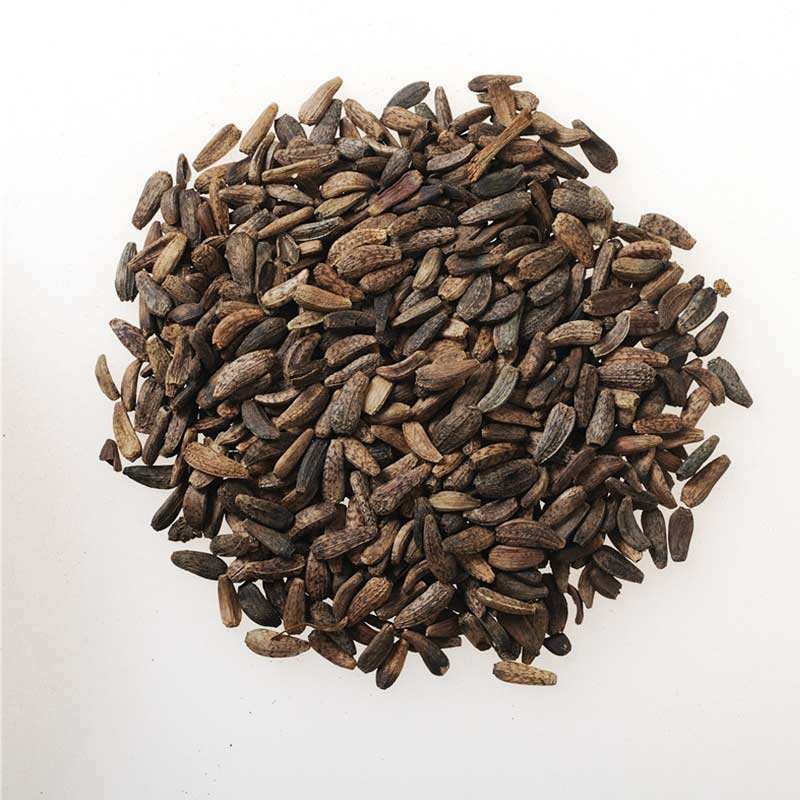 中药材牛蒡子恶实鼠粘子黍粘子大力子毛然然子黑风子毛锥子大力子