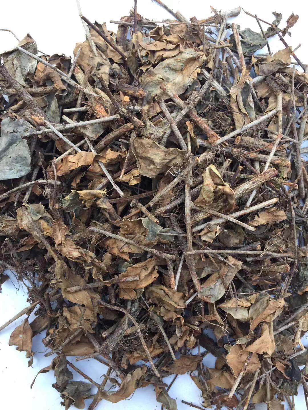 包邮 产地直销 中药材 十二两银 草药 无硫磺批发供应