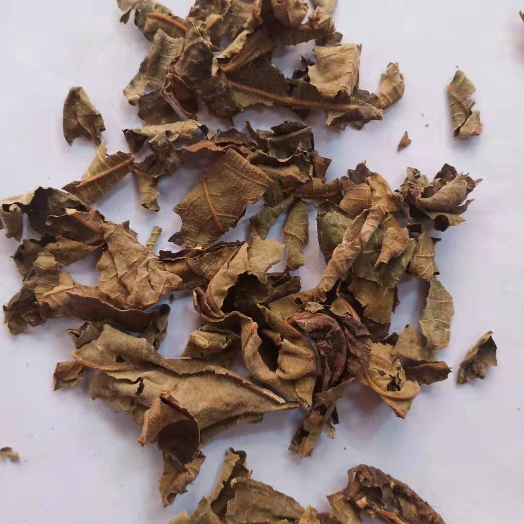 无花果叶 中药材批发无花果 无花果叶 批发零售 新货无硫