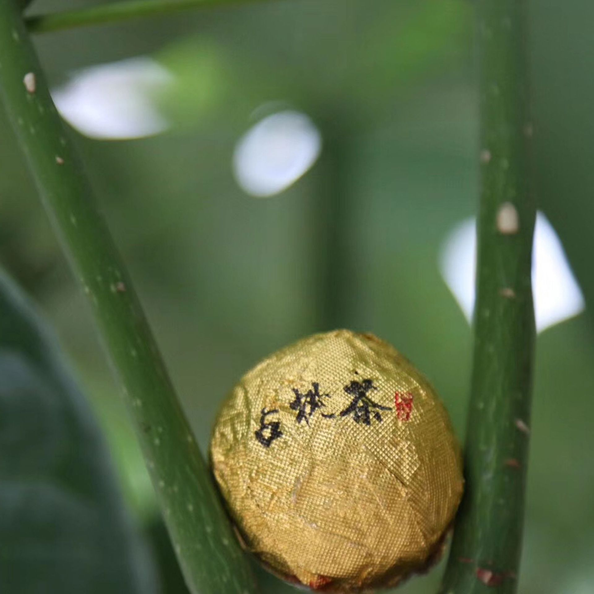 精品普洱龙珠茶云南霸气班章生茶手工迷你小沱茶8g金弹子散茶沱