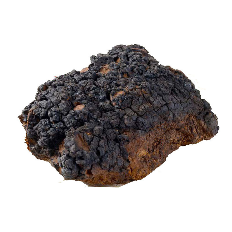 网红 俄罗斯桦树茸 西伯利亚野生白桦茸500g/斤滋补养生品送礼品