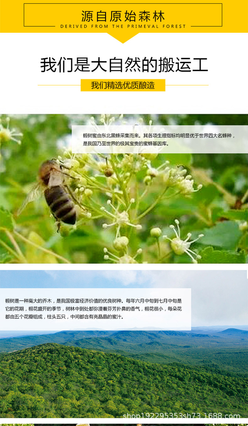 东北黑蜂椴树蜜 长白山椴树雪蜜结晶蜂蜜土蜂蜜农家蜂蜜 批发蜂蜜