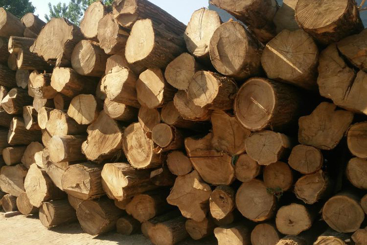 东北山槐木烘干板材 厂家直销上色性好 量大批发可加工